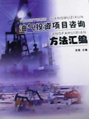 油气投资项目咨询方法全解 从评估到决策的实践指南